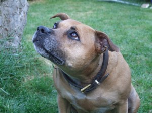 FD197CCB-C6A7-4B8D-87A8-E5A49A4A6321